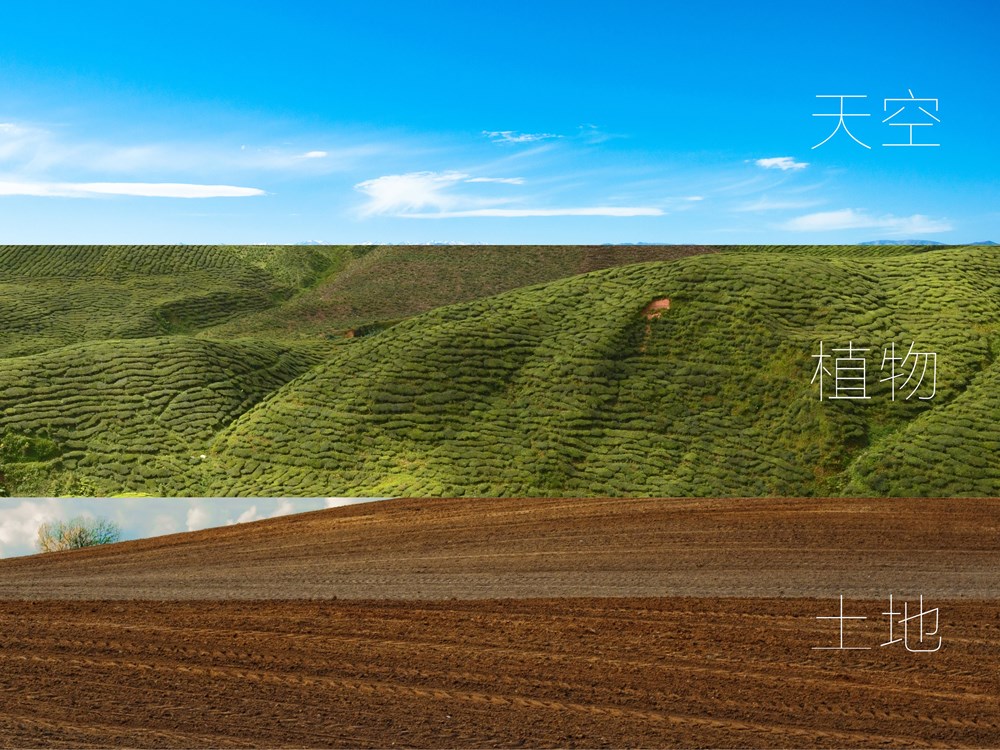 世界看中国，中国看农业；创意设计如何助推农业快速发展！