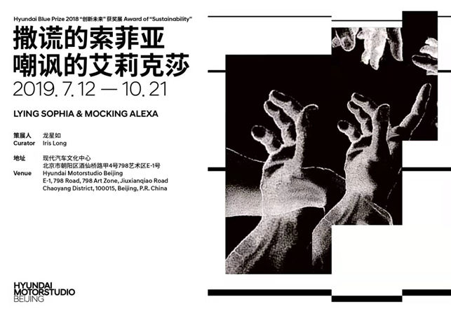 探索AI时代，Hyundai Blue Prize 2018获奖展《撒谎的索菲亚和嘲讽的艾莉克莎》开