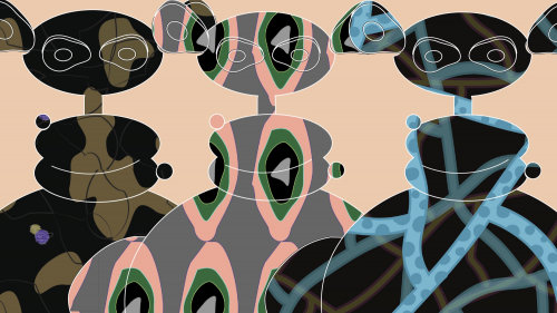 /attachment/thumb/2020/08/14/image_159736912351501025@495x285.png