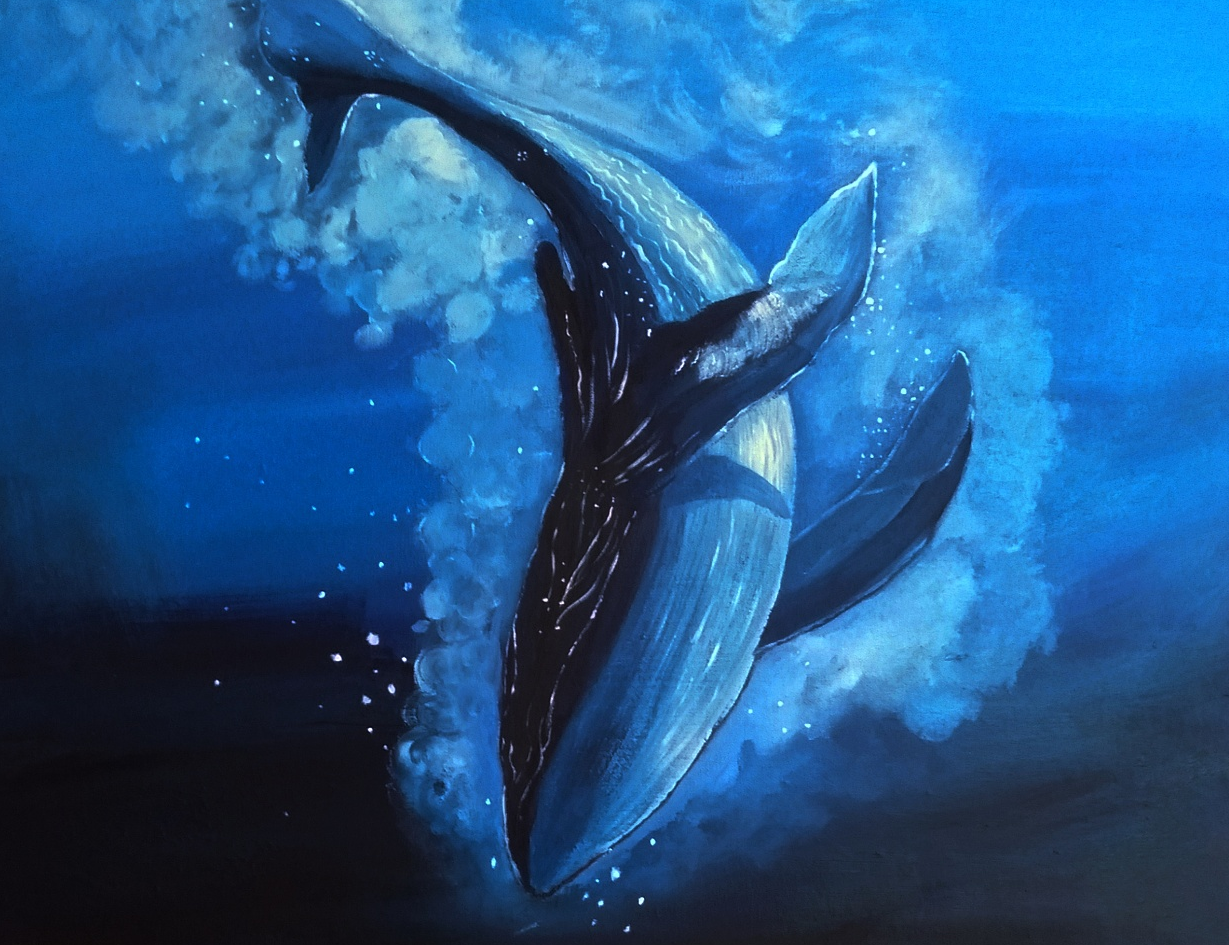 海深时见鲸