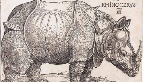 丢勒一幅错误百出的画，欧洲人300年信以为真