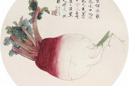 大师笔下的烟火气——于非闇萝卜画清新可爱
