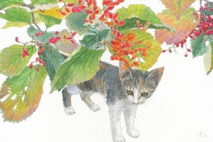 猫 | 水彩