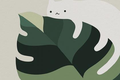 猫在哪